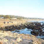 Cambria_0261 (November 02, 2013)